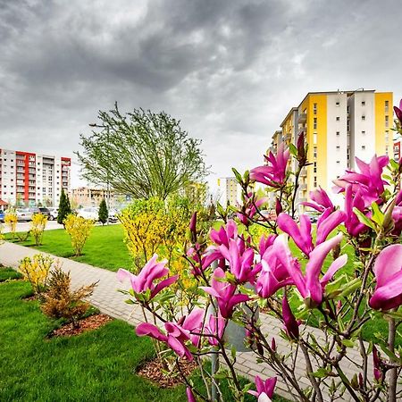 Belle View Apartment Brasov Exterior photo