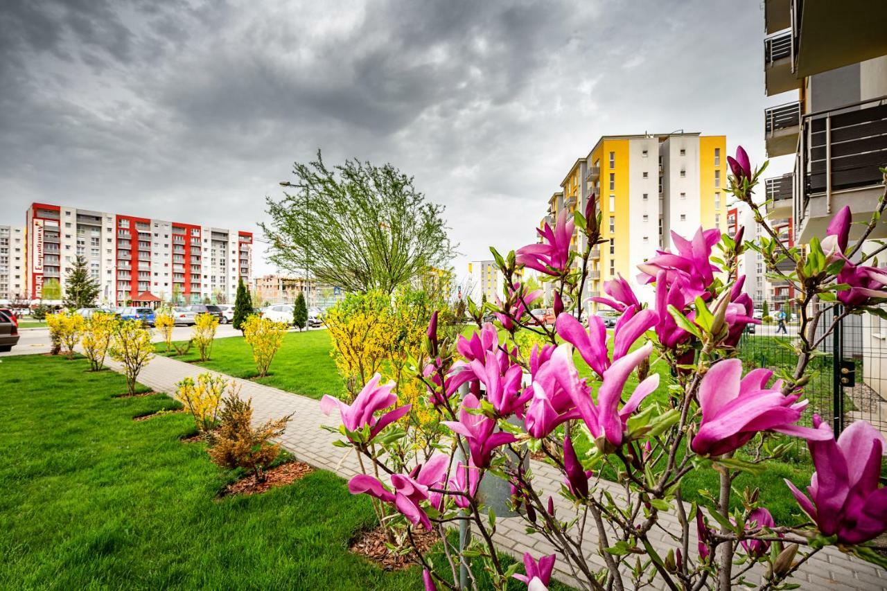 Belle View Apartment Brasov Exterior photo